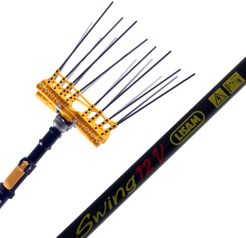 Immagine 2025-10-14 195844 Lisam Swing 12 V - Abbacchiatore elettrico per raccolta olive